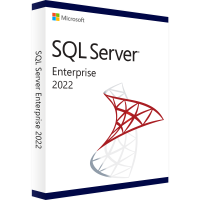 Microsoft SQL Server 2019 Standard Microsoft SQL Server 2019 Standard